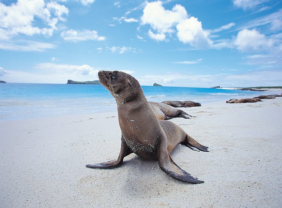 galapagos islands cruise 2024