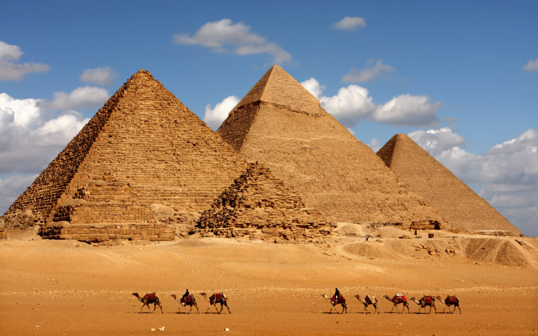 pyramids giza cairo in egypt with camel caravane panoramic sceni
