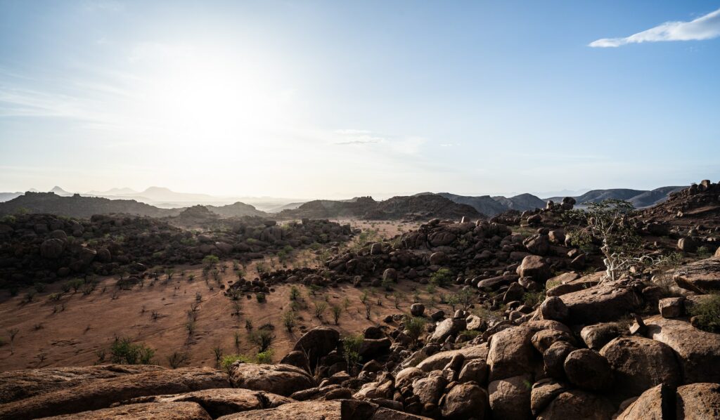 the desert is also inhabited by a diversity of reptiles, insects, and plants that have evolved unique strategies to endure the extreme conditions. 