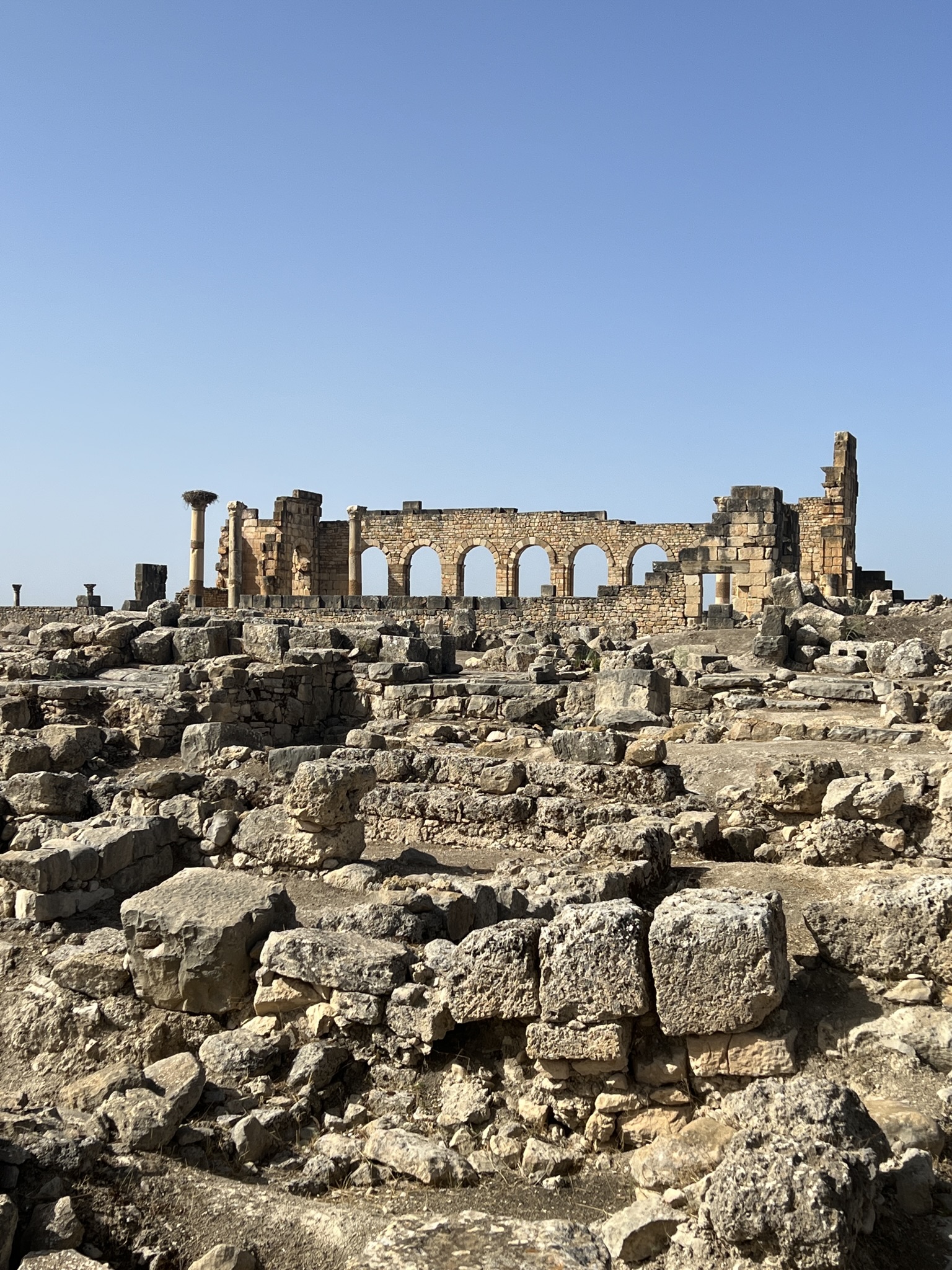 Volubilis (UNESCO world heritage) - partly excavated Roman city, Meknes, Morocco.