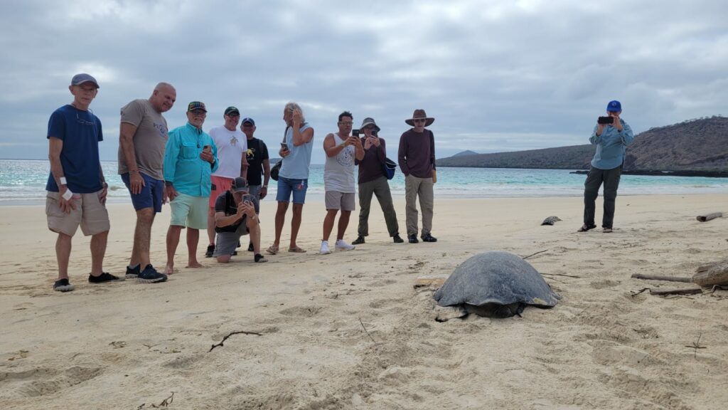 Wildlife Encounters on a Galapagos Islands Luxury Tour