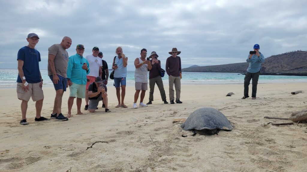 Wildlife Encounters on a Galapagos Islands Luxury Tour